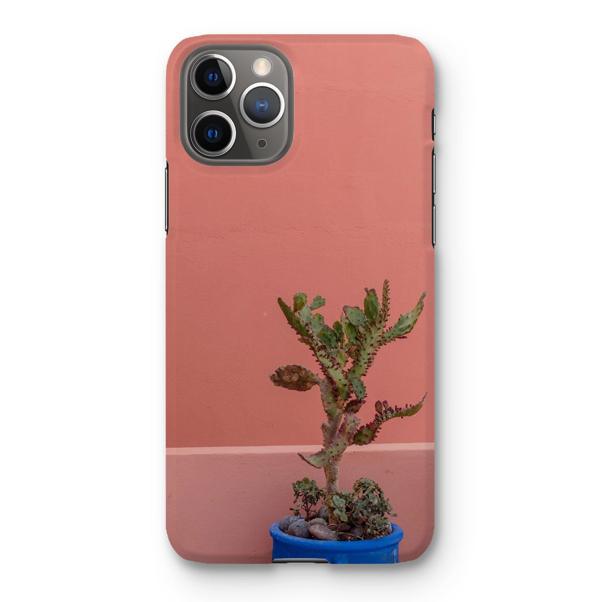 Terraesthetic Snap Phone Case