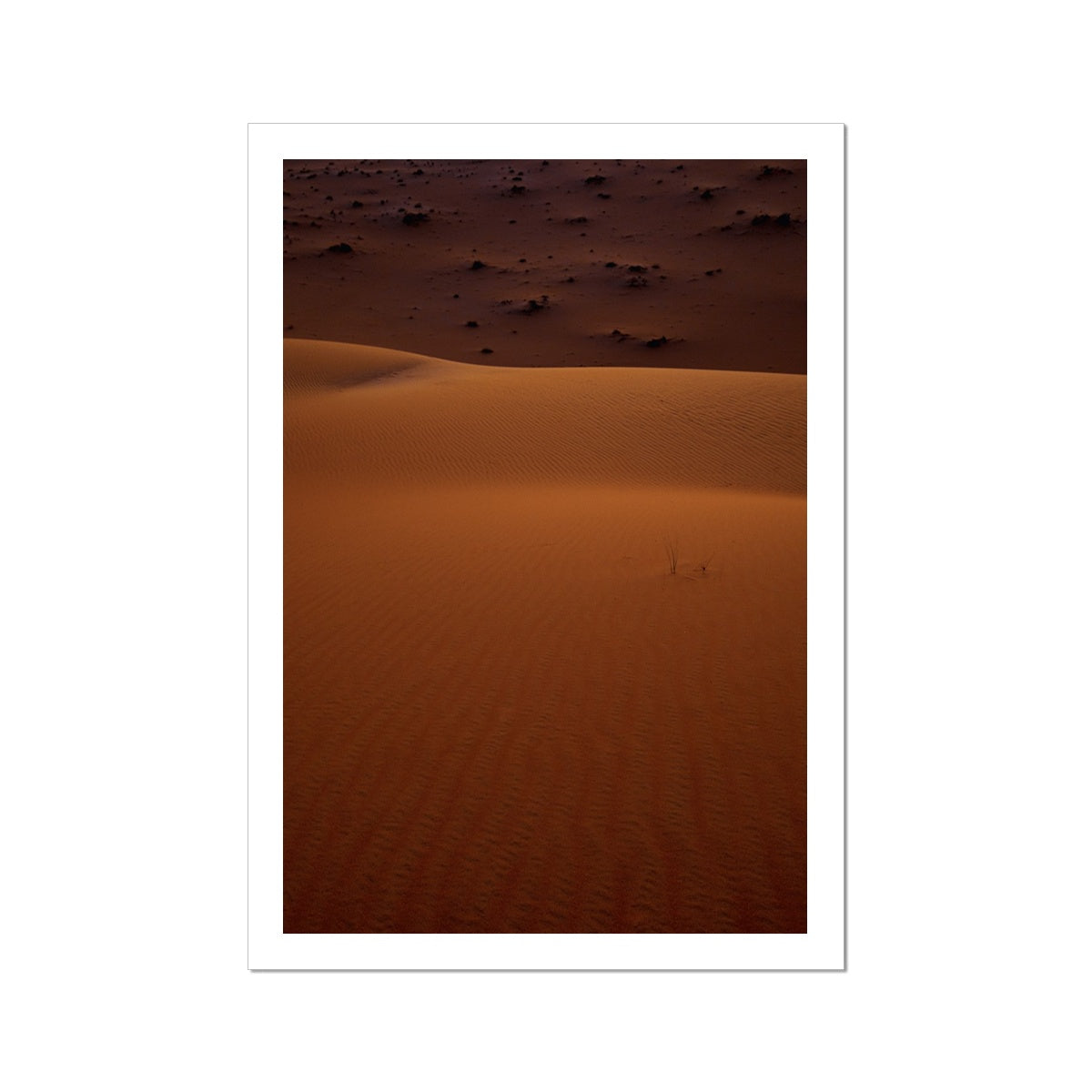 Serene | Empty Quarter