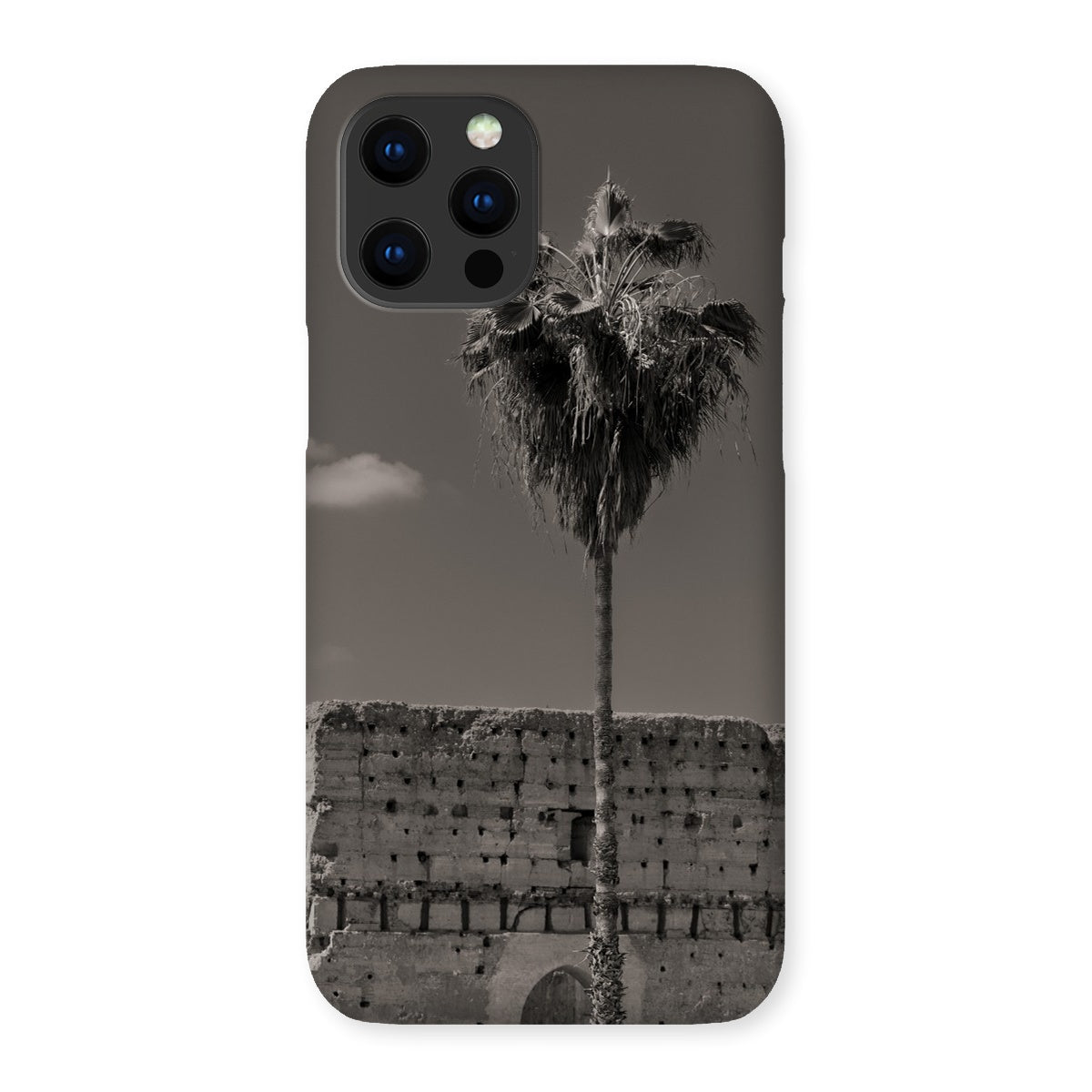 Ksar Al Badia Snap Phone Case