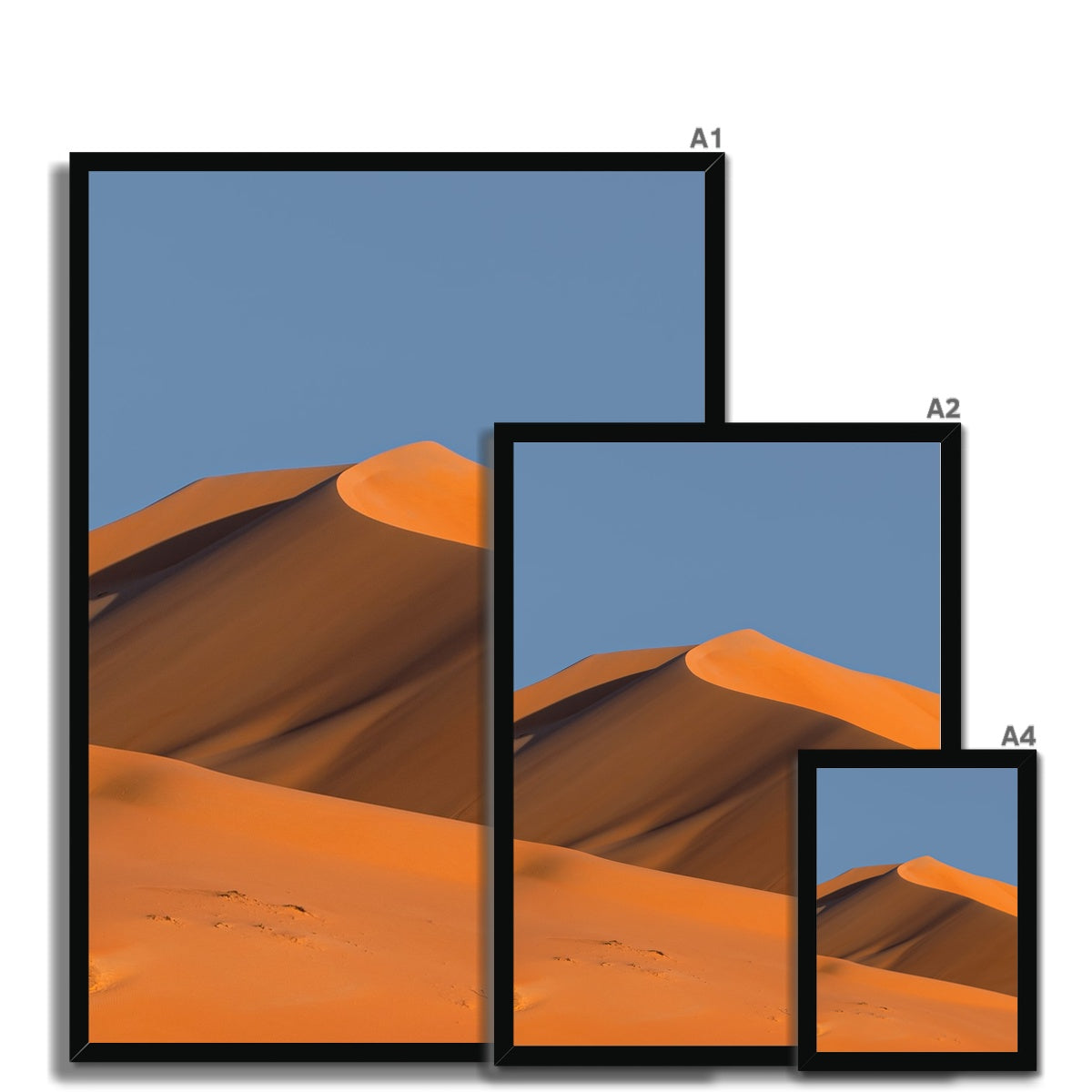 Empty Quarter | Dear Desert Dune