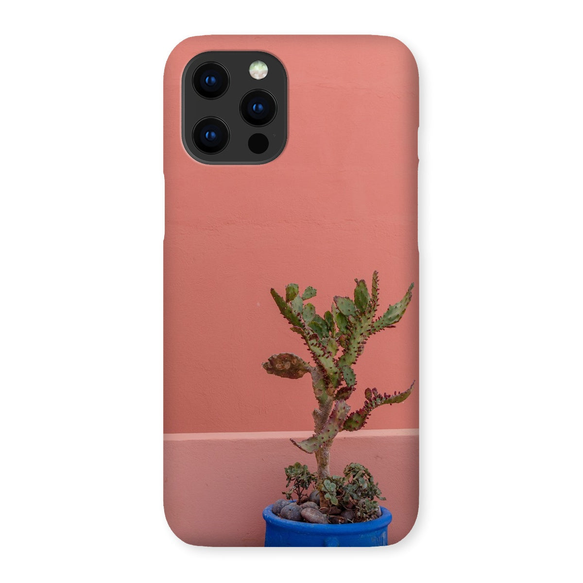 Terraesthetic Snap Phone Case