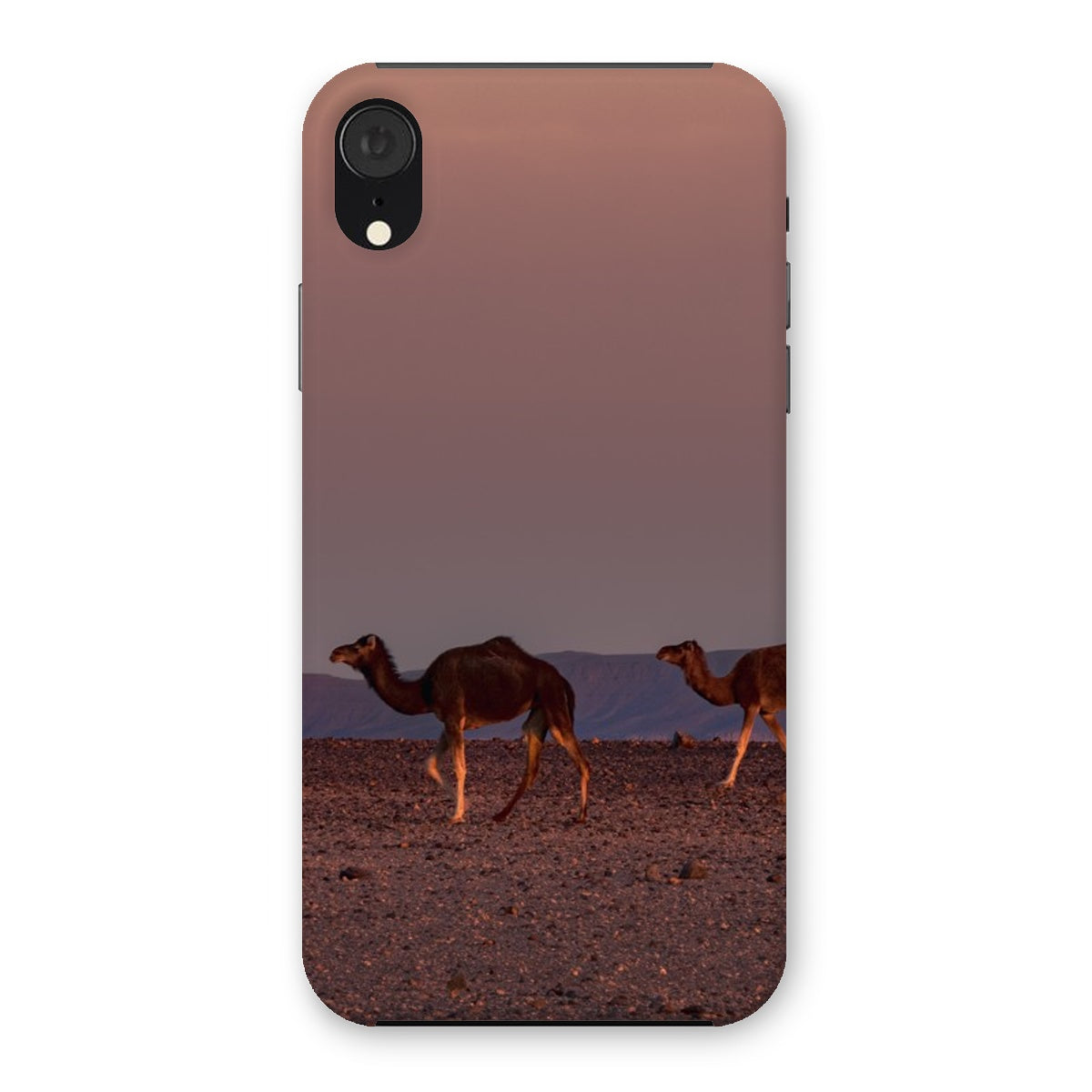 Roaming Camel Duo Snap Phone Case